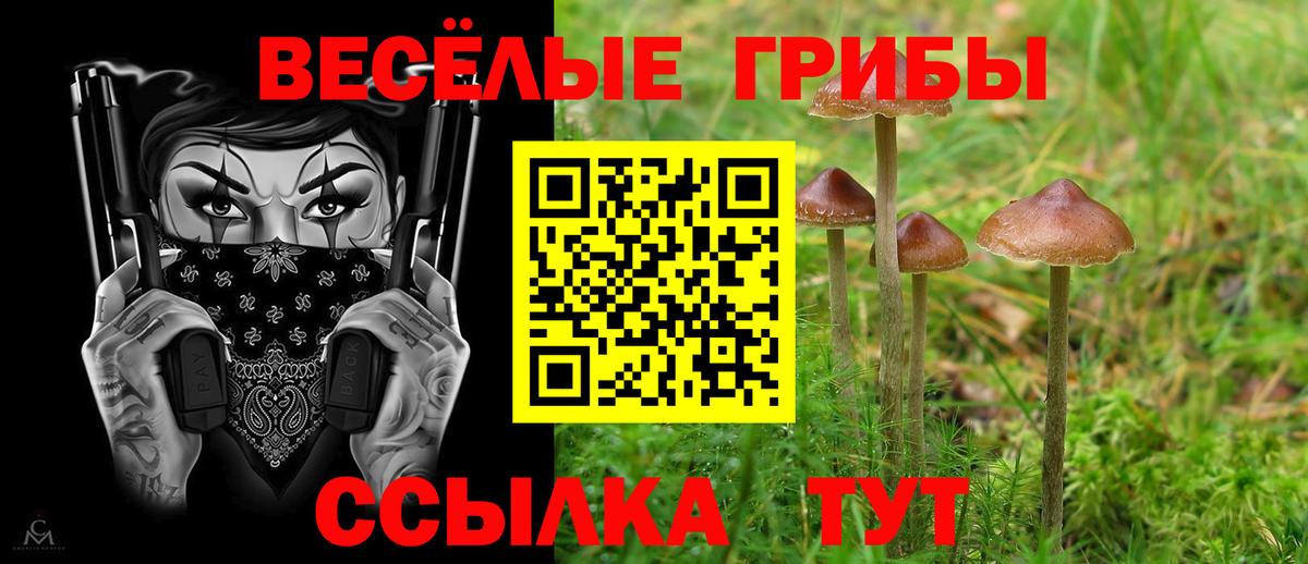 Псилоцибиновые грибы мухоморы  Псилоцибиновые грибы мухоморы  Горячий Ключ  Вход с VPN 